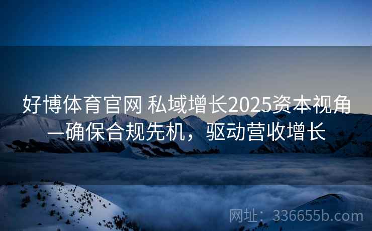 好博体育官网 私域增长2025资本视角—确保合规先机，驱动营收增长