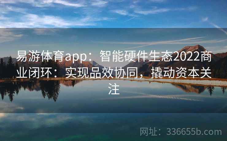 易游体育app：智能硬件生态2022商业闭环：实现品效协同，撬动资本关注