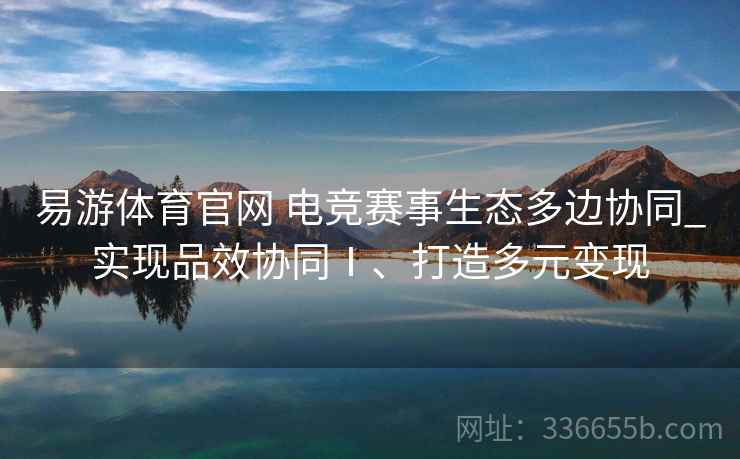 易游体育官网 电竞赛事生态多边协同_实现品效协同Ⅰ、打造多元变现