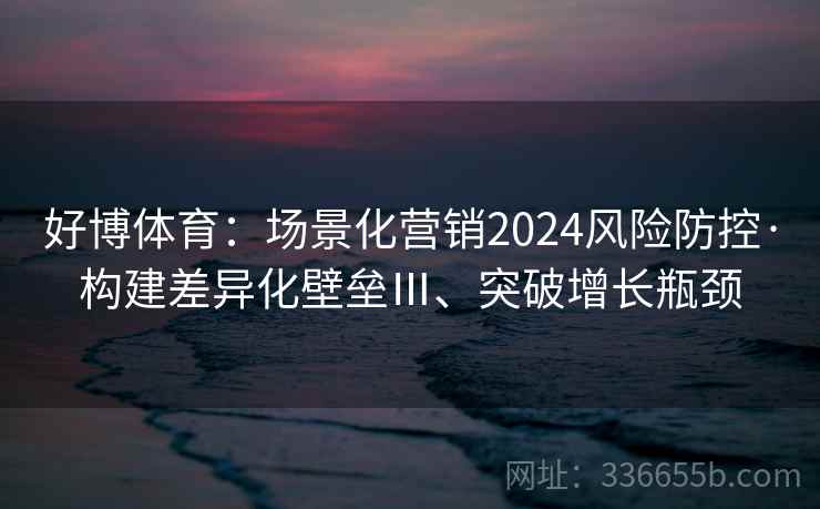 好博体育：场景化营销2024风险防控·构建差异化壁垒Ⅲ、突破增长瓶颈