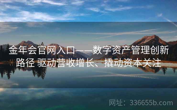 金年会官网入口——数字资产管理创新路径 驱动营收增长、撬动资本关注