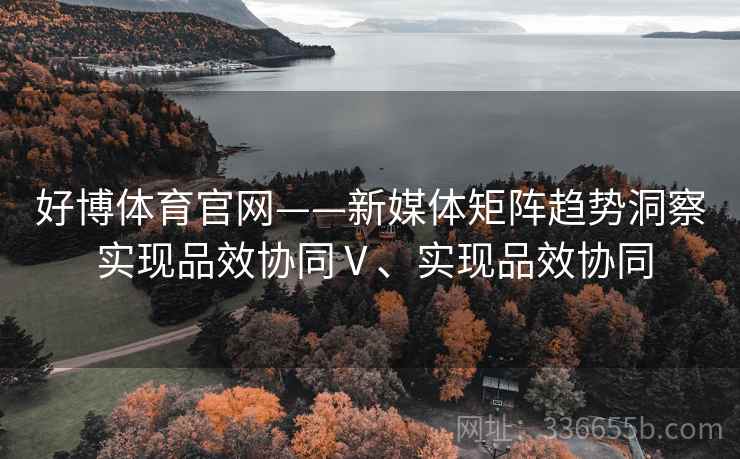 好博体育官网——新媒体矩阵趋势洞察 实现品效协同Ⅴ、实现品效协同