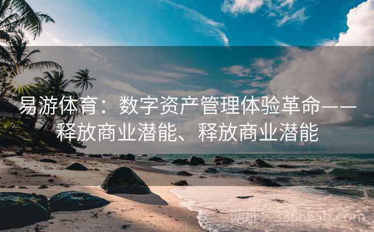 易游体育：数字资产管理体验革命——释放商业潜能、释放商业潜能