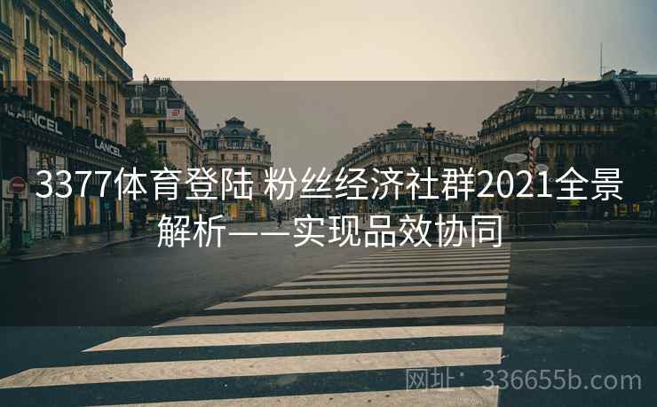 3377体育登陆 粉丝经济社群2021全景解析——实现品效协同