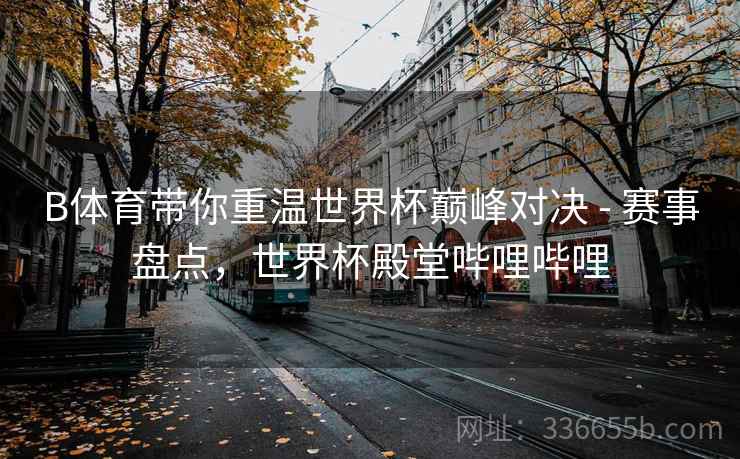 B体育带你重温世界杯巅峰对决 - 赛事盘点，世界杯殿堂哔哩哔哩