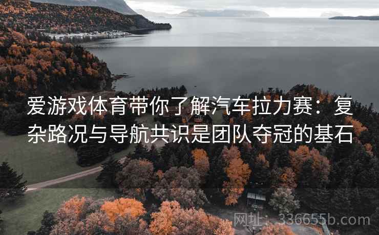 爱游戏体育带你了解汽车拉力赛：复杂路况与导航共识是团队夺冠的基石