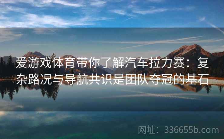 爱游戏体育带你了解汽车拉力赛：复杂路况与导航共识是团队夺冠的基石